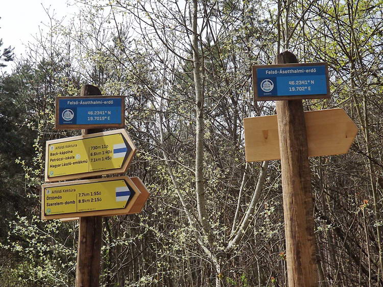 Nyilazott útjelző táblák az erdőben