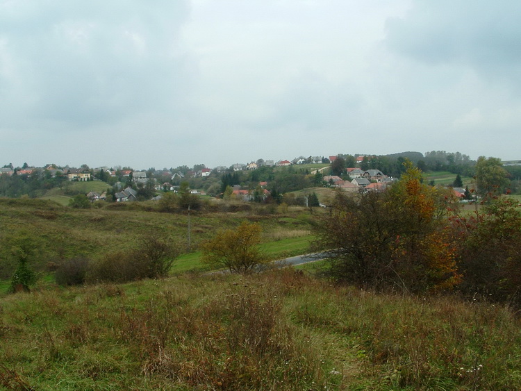 The view of Borzavár village