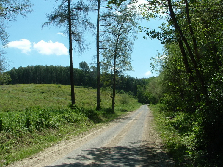 On the access road of Bakonynána village