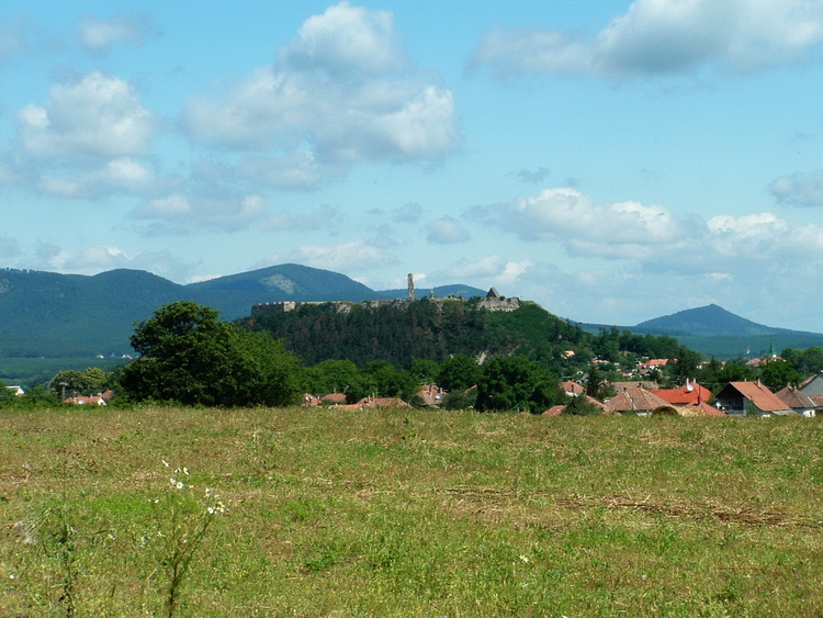 The castle of Nógrád taken from the ridge