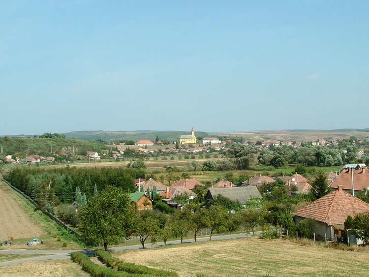 Romhány - Kilátás a településre a törökmogyorófától