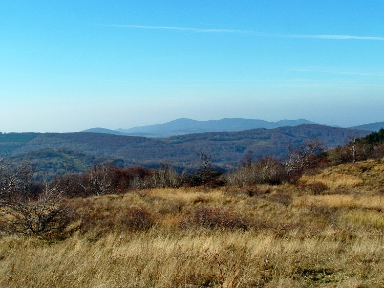 Panorama towards the Cserhát from the clearing