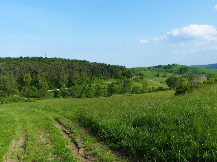 A retrospection towards the valley of Zádorfalva