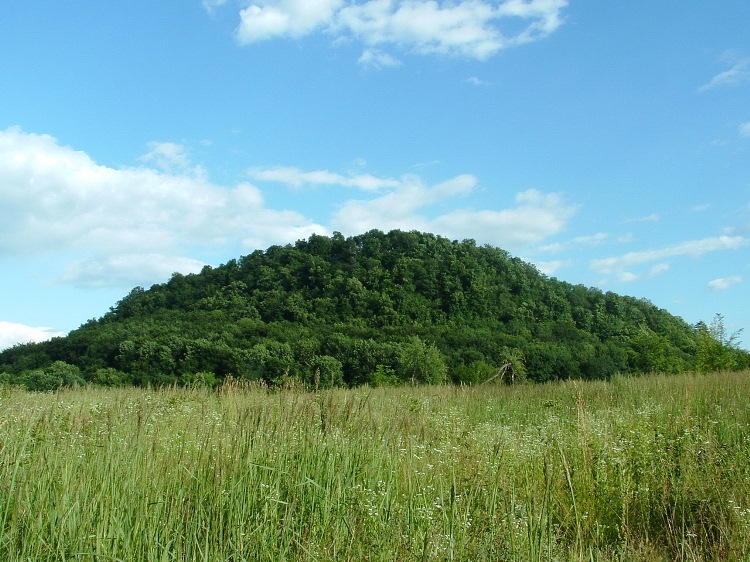 The forest covered hill of Szádvár fortress