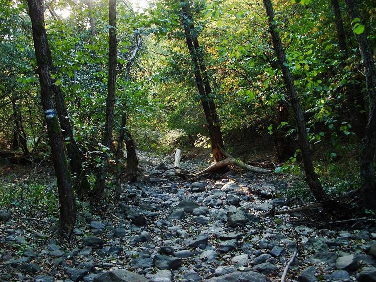 The bed of the Arka-patak Brook without water in a dry summer