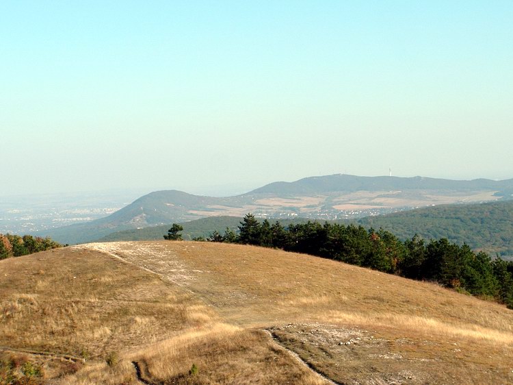 A Nagy-szénás tetején - Kilátás a Hármashatár-hegy felé
