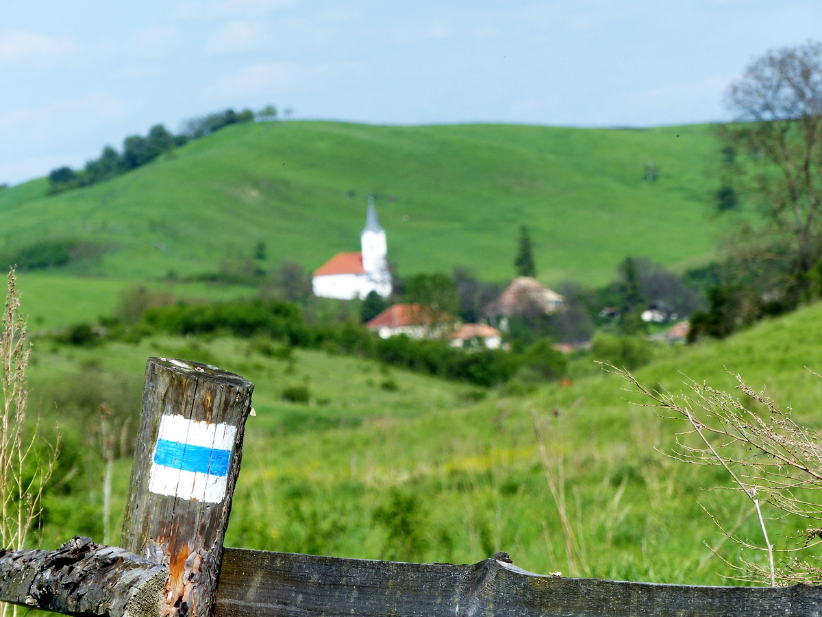Egy legelőt határoló rozzant fakerítésre festett kék sáv jelzés a Borsodi dombok között, Zádorfalva határában