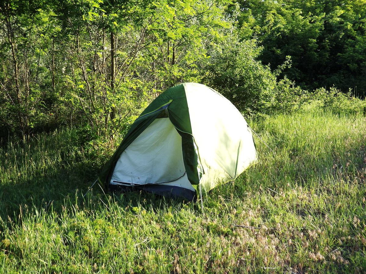 Wild camping in the forest