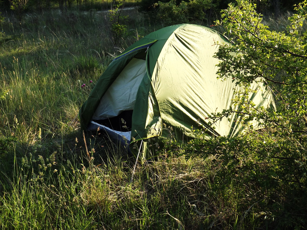 Wild camping in the forest