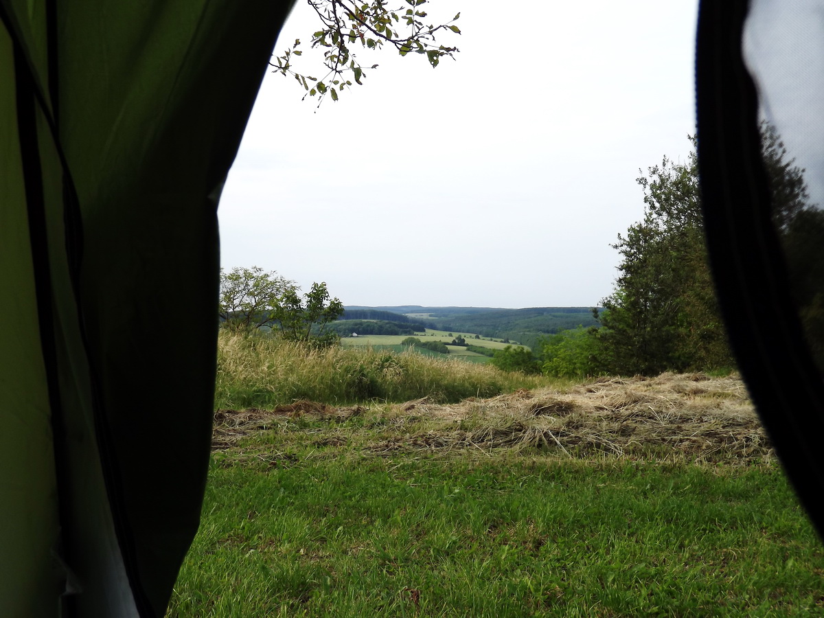 View from my tent