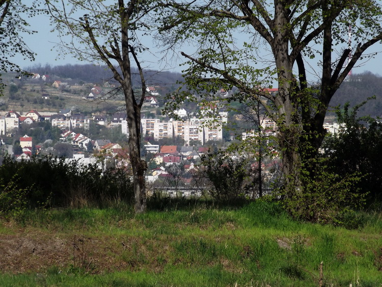 Még látszanak Szekszárd házai a Csörge-tótól