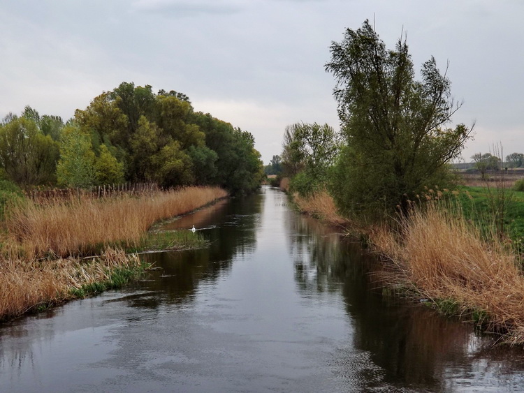 A Duna-völgyi-főcsatorna Sükösd határában 1.