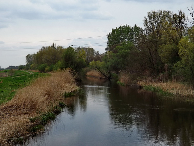 A Duna-völgyi-főcsatorna Sükösd határában 2.