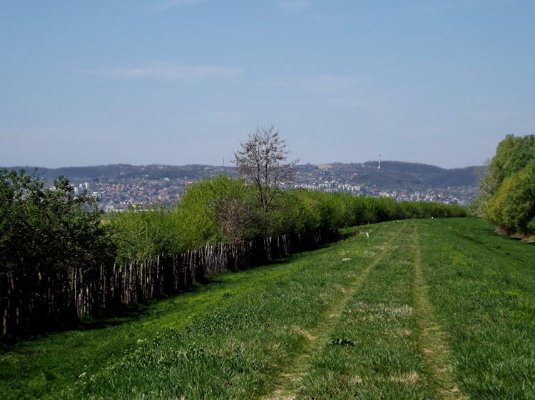 Túra a Sió füves gátján. Visszapillantva már tényleg a távolban látszik Szekszárd.