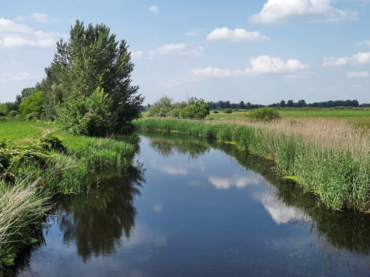 A Duna-völgyi-főcsatorna Császártöltésnél