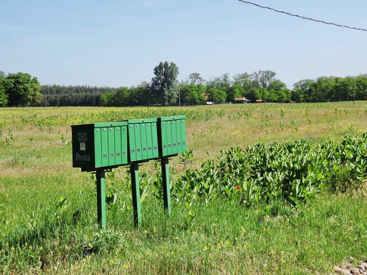 Postaládák a tanyák közötti földúton