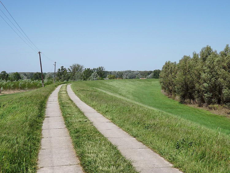 A Tisza gátján gyalogoltam vagy másfél kilométert a kompig