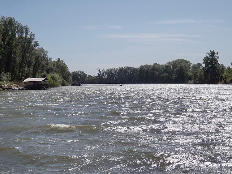 A Tisza a kompról fényképezve