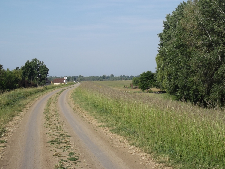 Gáttúra a Körös árvízvédelmi töltésén