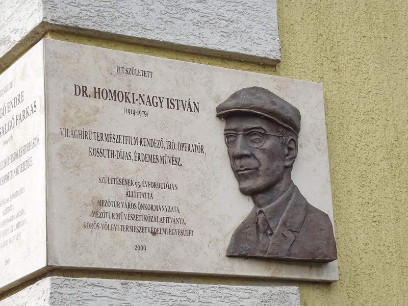 Homoki-Nagy István emléktáblája a házfalon