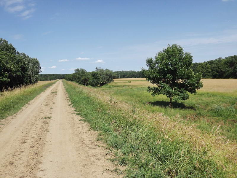 Szinte az egész túrámat a gáton tettem meg