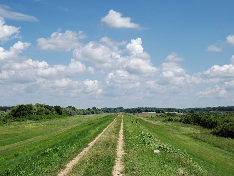 Talpalás a Sebes-Körös főgátján