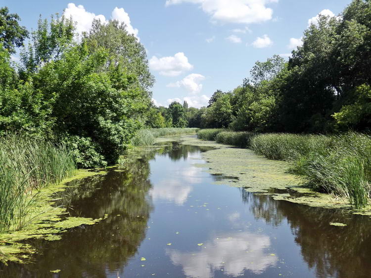 A Holt-Sebes-Körös a Vidratanya után