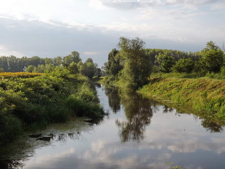 A Holt-Sebes-Körös Vésztő határában 2.