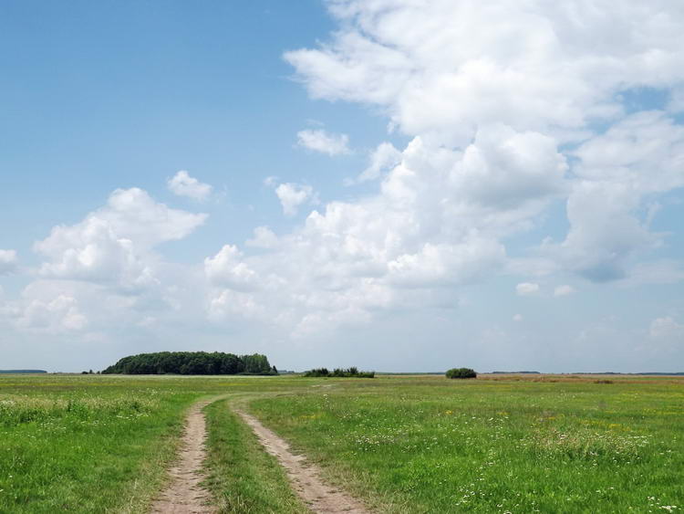 A Sároséri-major után értem el a kaszálókat, legelőket