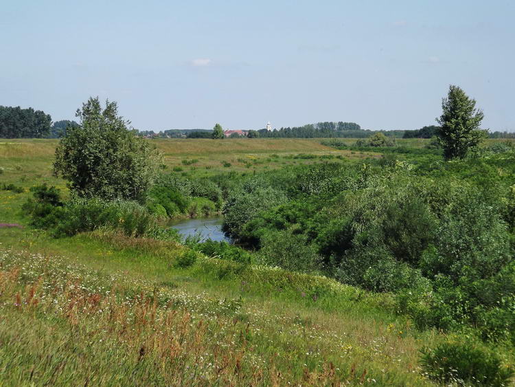 Kilátás a gátról a kanyargós Berettyóra