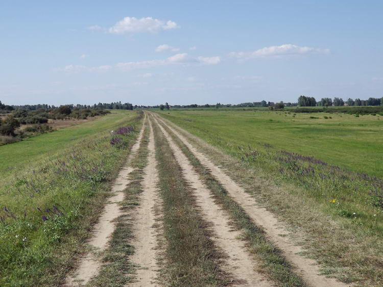 A Berettyó gátján indultam Pocsaj felé