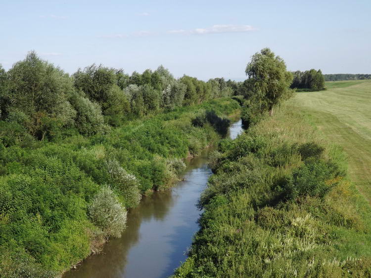 A Berettyó Pocsaj előtt