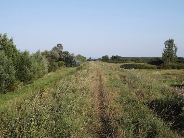 Túra az Ér-főcsatorna ritkán kaszált gátjának tetején