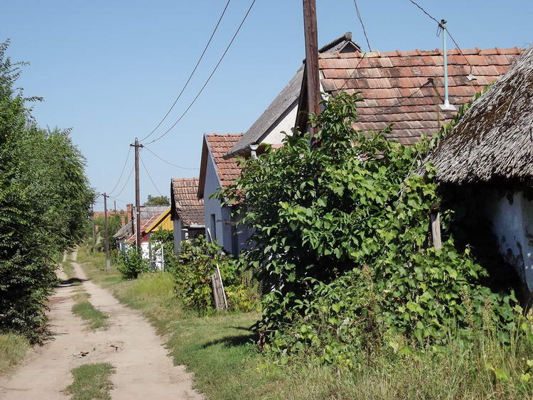 Borpajták, hétvégi házak hosszú sora előtt baktattam el a homokos keréknyomokon