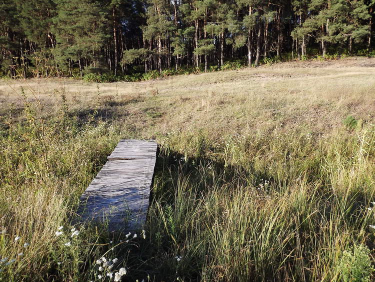 Deszkákból összerótt híd egy kiszáradt erecske felett