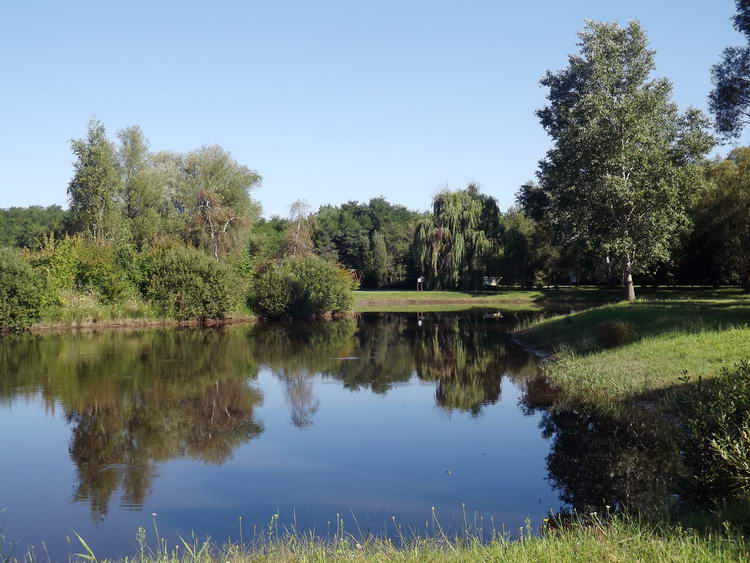 Tavacska a Bánki arborétumban