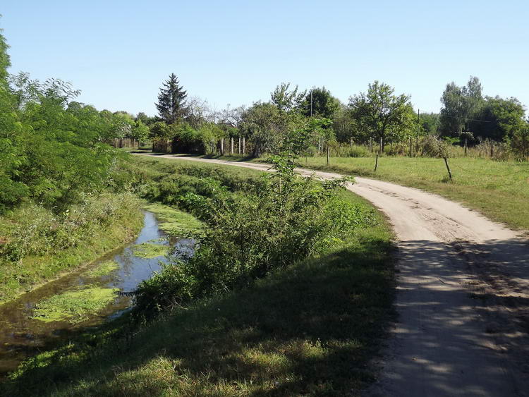 Végigballagtam a Derecske-Kálló partján vezető keréknyomokon