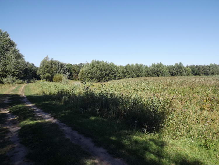 Kilátás a gáton futó keréknyomokról a Fancsika-III. víztárolóra