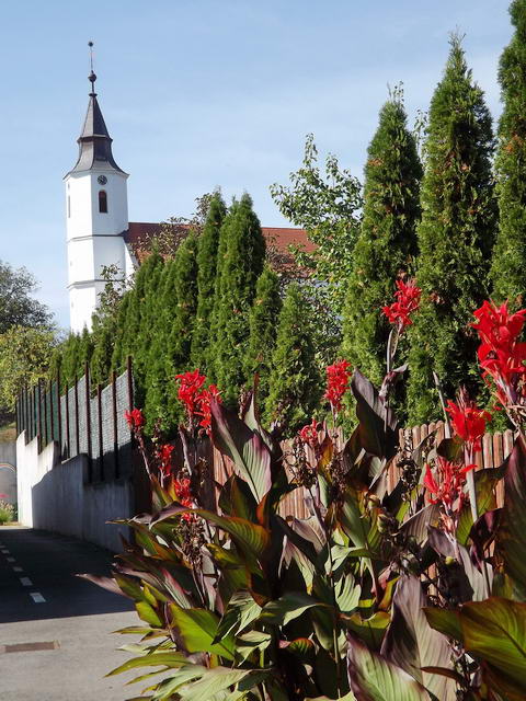 Rohod - Református templom
