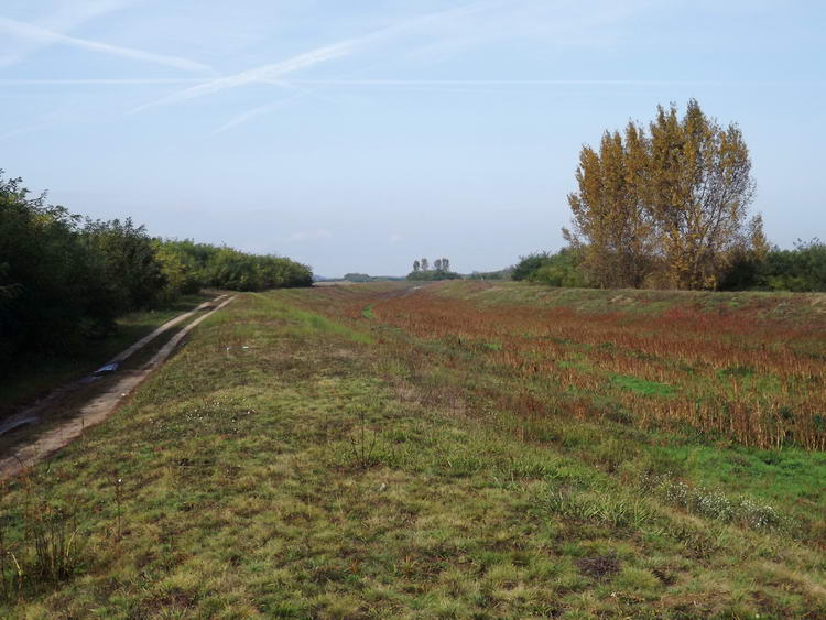 A csontszáraz XV. csatorna a zsilipektől fényképezve