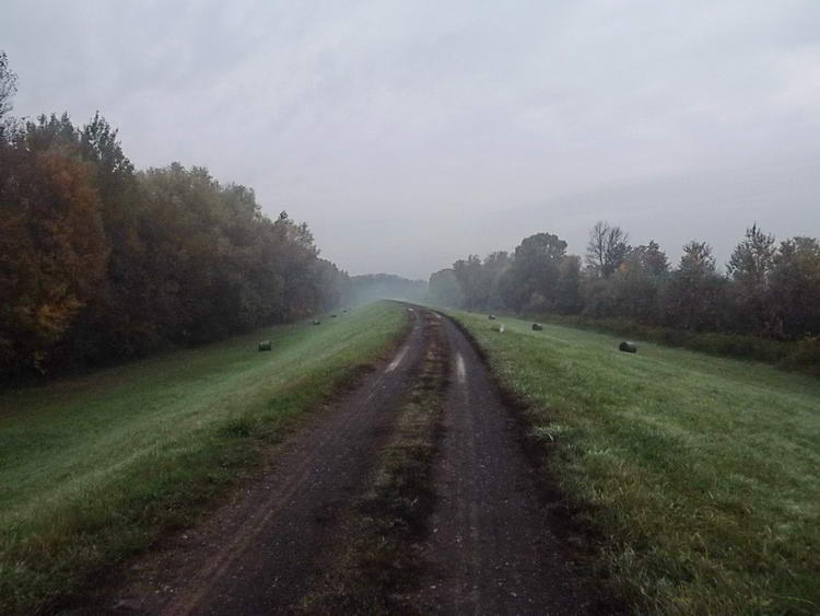 Vékony köd gátolja a kilátást a Tisza gátján