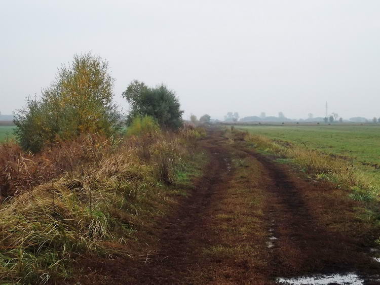 Később azért jobb lett a földút állapota