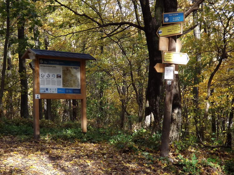 Újra felérkeztem a Nagy-nyugodó nyergébe, miután bejártam a körtúrát