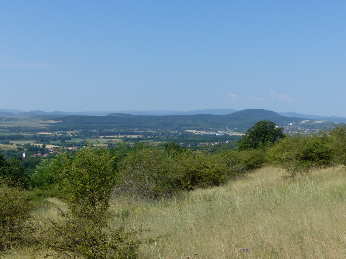 Felkapaszkodtam a Kesztölc feletti ligetes mezőkre