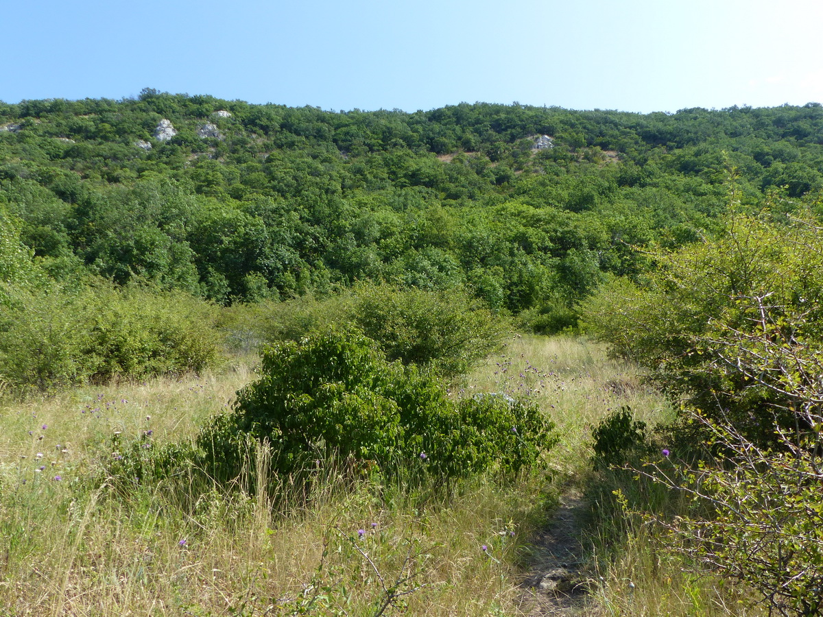 Még előttem tornyosult a Kétágú-hegy sziklás oldala