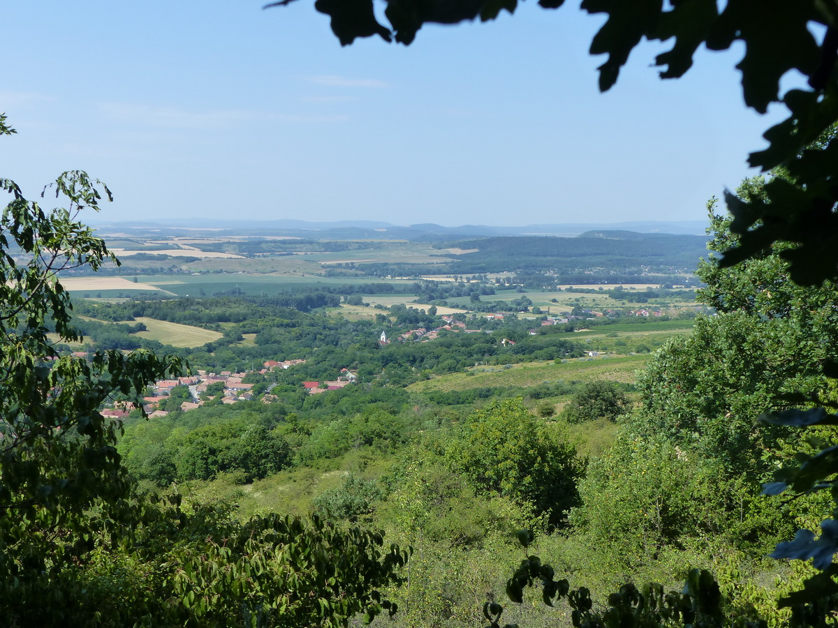 Kilátás Kesztölcre és a távoli Dorogra az erdőhatártól