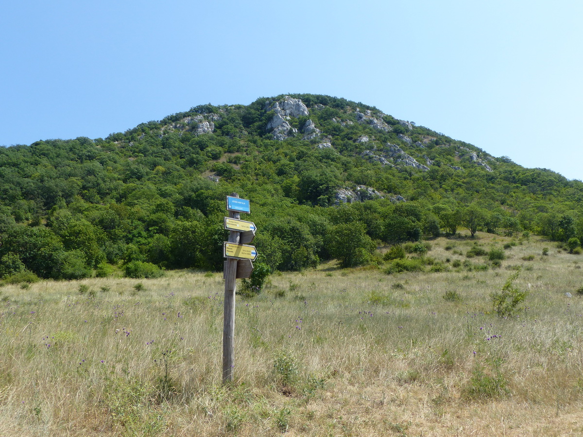 Visszatekintés az Öreg-szirtre a mezőkről