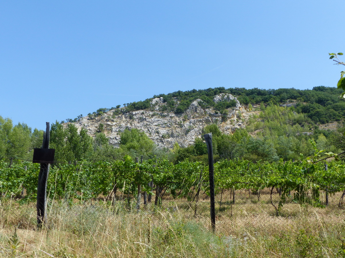 Kilátás a Fehér-szirtre a földútról