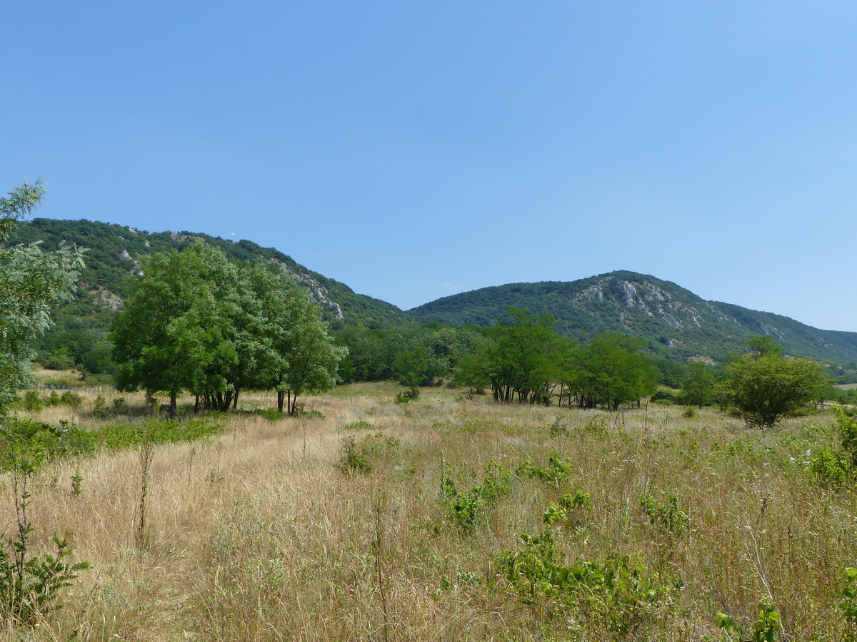 Kilátás a Kétágú-hegy két ágára, vagyis a Fehér-szirtre (balra) és az Öreg-szirtre (jobbra)