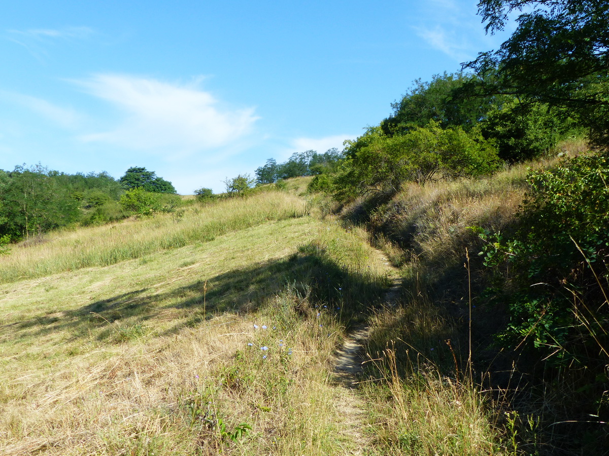 Kapaszkodás a domboldalban